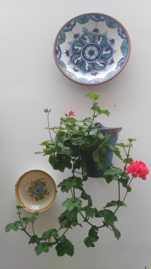 Hostal Azahar Córdoba Kültér fotó